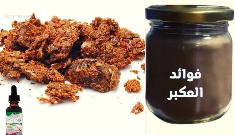 البروبلس وتأثيره على السلوك والمزاج