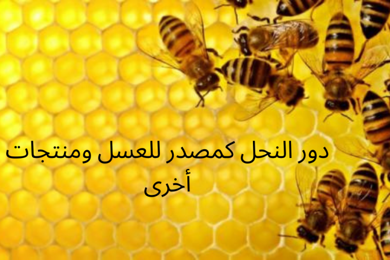 دور النحل كمصدر للعسل ومنتجات أخرى