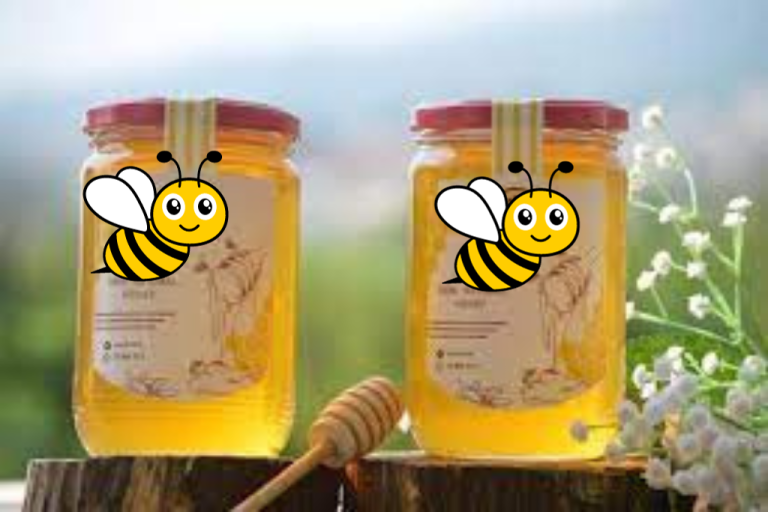 عسل السنديان (Fir Honey)