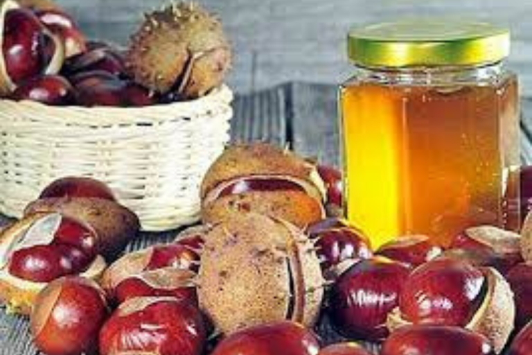 عسل الكستنا (Chestnut Honey): نكهة فريدة وفوائد صحية مذهلة